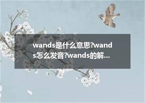 wands是什么意思?wands怎么发音?wands的解释和用法