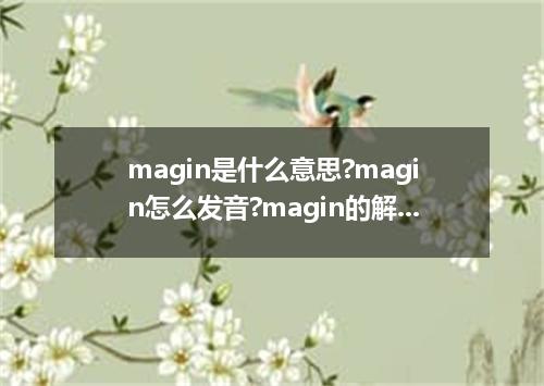 magin是什么意思?magin怎么发音?magin的解释和用法