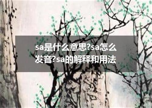 sa是什么意思?sa怎么发音?sa的解释和用法