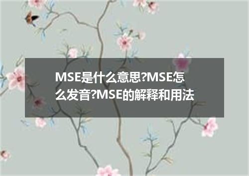 MSE是什么意思?MSE怎么发音?MSE的解释和用法