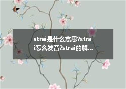 strai是什么意思?strai怎么发音?strai的解释和用法