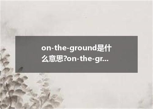 on-the-ground是什么意思?on-the-ground怎么发音?on-the-ground的解释和用法