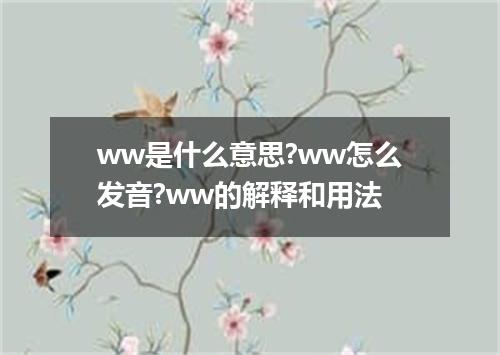 ww是什么意思?ww怎么发音?ww的解释和用法