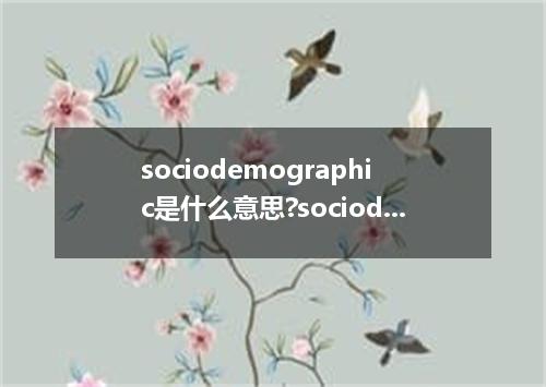 sociodemographic是什么意思?sociodemographic怎么发音?sociodemographic的解释和用法