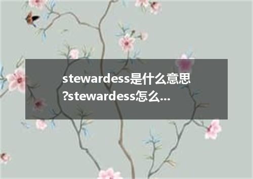 stewardess是什么意思?stewardess怎么发音?stewardess的解释和用法