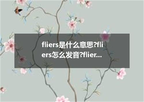fliers是什么意思?fliers怎么发音?fliers的解释和用法