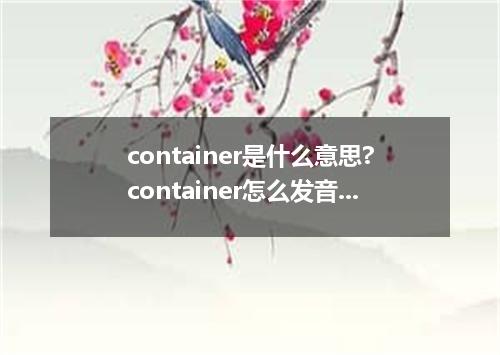 container是什么意思?container怎么发音?container的解释和用法
