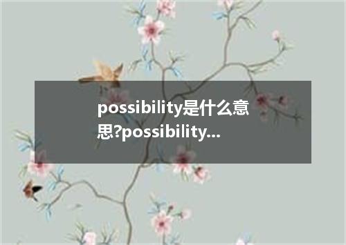 possibility是什么意思?possibility怎么发音?possibility的解释和用法