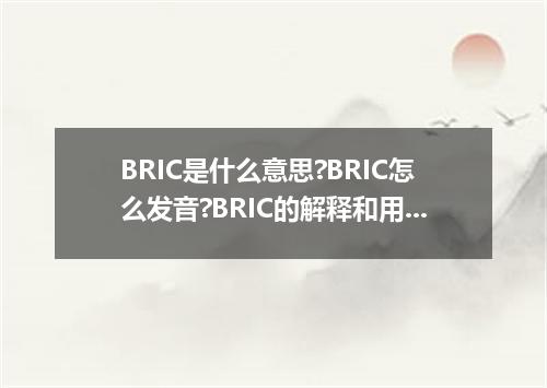 BRIC是什么意思?BRIC怎么发音?BRIC的解释和用法