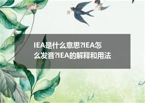 IEA是什么意思?IEA怎么发音?IEA的解释和用法