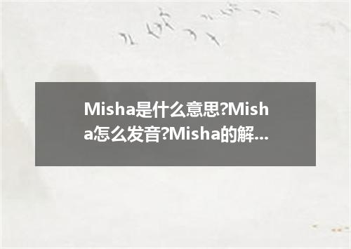 Misha是什么意思?Misha怎么发音?Misha的解释和用法