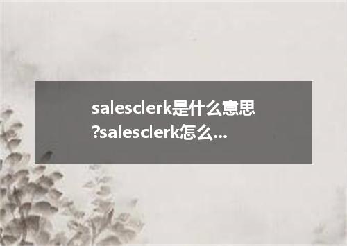 salesclerk是什么意思?salesclerk怎么发音?salesclerk的解释和用法