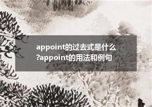 appoint的过去式是什么?appoint的用法和例句
