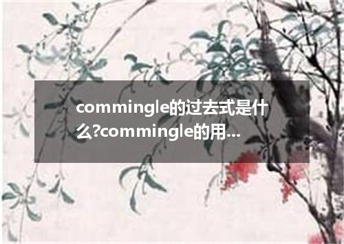 commingle的过去式是什么?commingle的用法和例句