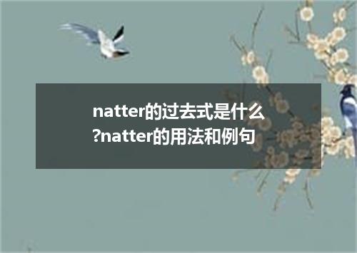 natter的过去式是什么?natter的用法和例句