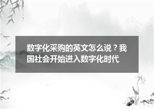 数字化采购的英文怎么说?我国社会开始进入数字化时代