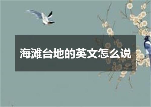 海滩台地的英文怎么说