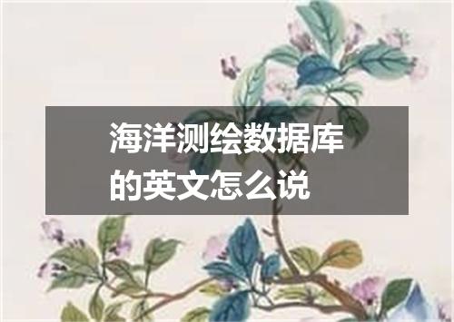 海洋测绘数据库的英文怎么说