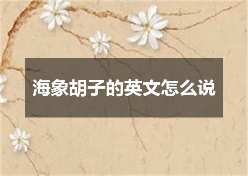 海象胡子的英文怎么说