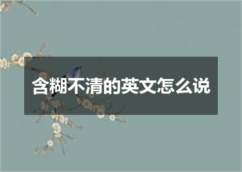 含糊不清的英文怎么说