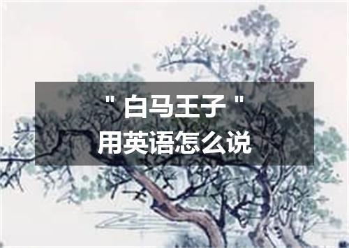 "白马王子"用英语怎么说