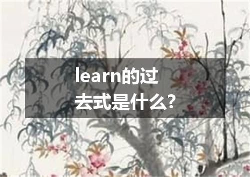 learn的过去式是什么?