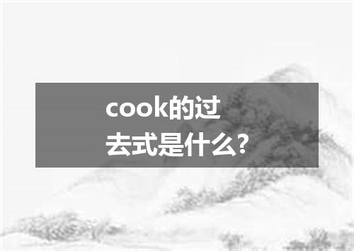 cook的过去式是什么?