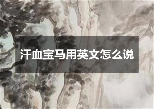 汗血宝马用英文怎么说
