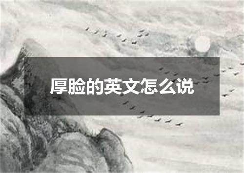 厚脸的英文怎么说