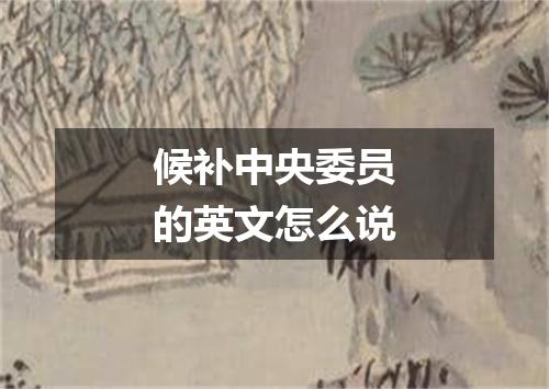 候补中央委员的英文怎么说