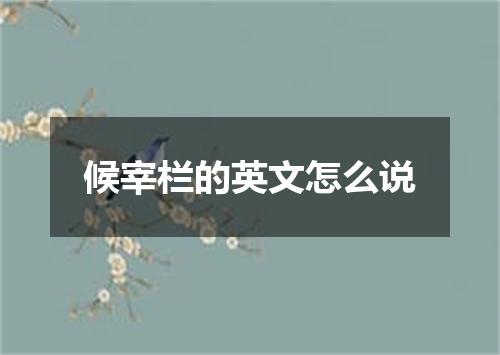 候宰栏的英文怎么说