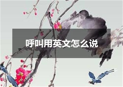 呼叫用英文怎么说