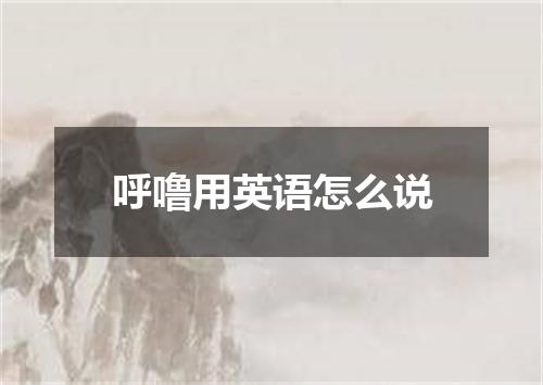 呼噜用英语怎么说