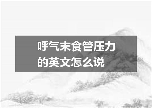 呼气末食管压力的英文怎么说
