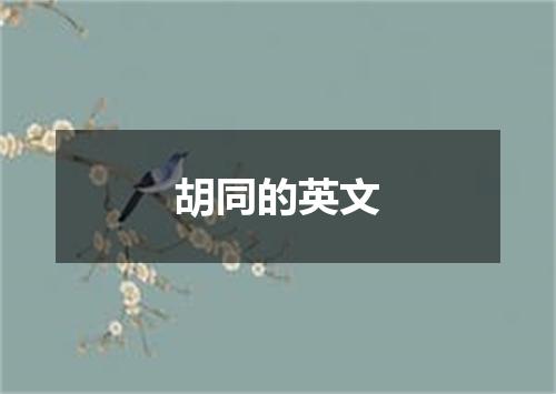 胡同的英文