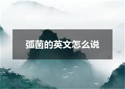 弧菌的英文怎么说