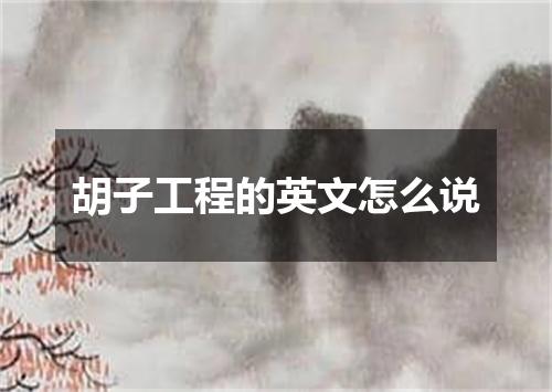 胡子工程的英文怎么说