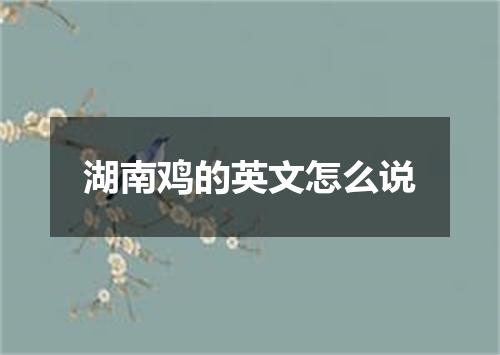 湖南鸡的英文怎么说
