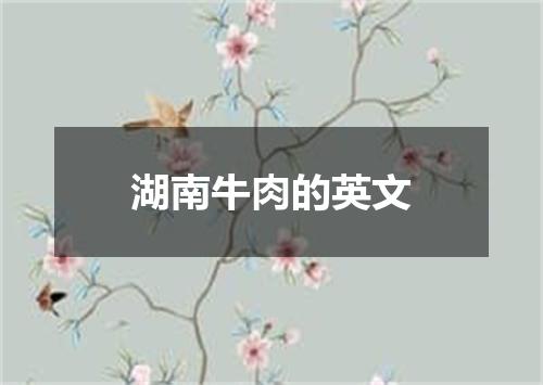 湖南牛肉的英文