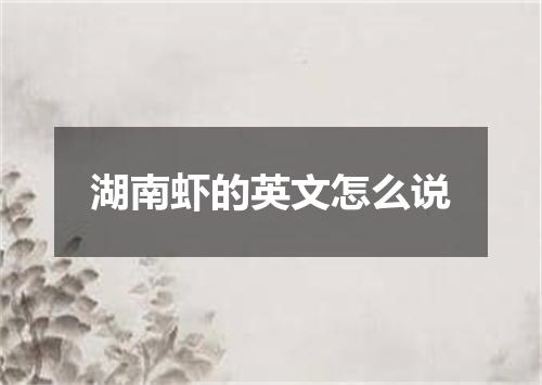 湖南虾的英文怎么说