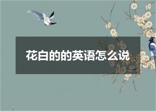 花白的的英语怎么说
