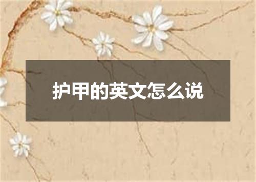 护甲的英文怎么说
