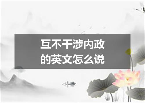 互不干涉内政的英文怎么说