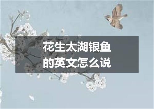 花生太湖银鱼的英文怎么说