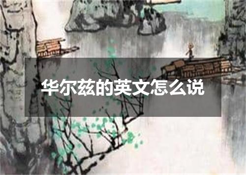 华尔兹的英文怎么说