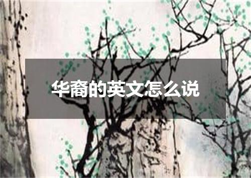 华裔的英文怎么说