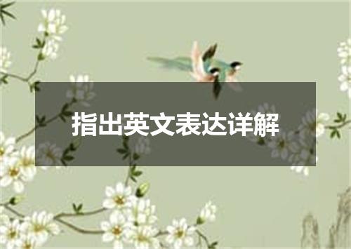 指出英文表达详解
