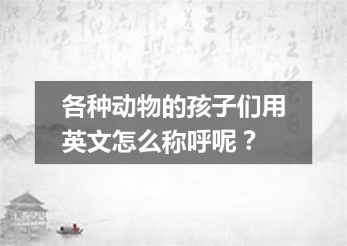各种动物的孩子们用英文怎么称呼呢?