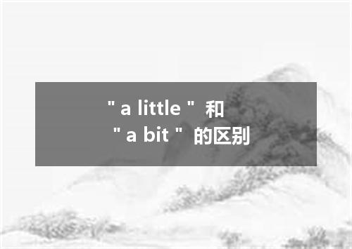 "a little" 和 "a bit" 的区别