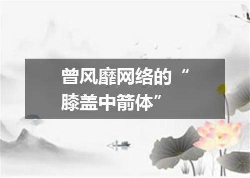 曾风靡网络的“膝盖中箭体”